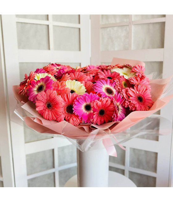 Bouquet 50 gerberas.